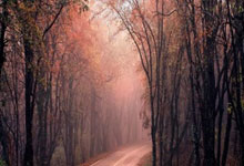 咪咕体育：AIGC看体育｜精彩回顾：第十二届全国少数民族传统体育运动会开幕新华社.