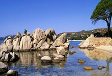 [天下足球]有惊无险 拜仁收获联赛四连胜.